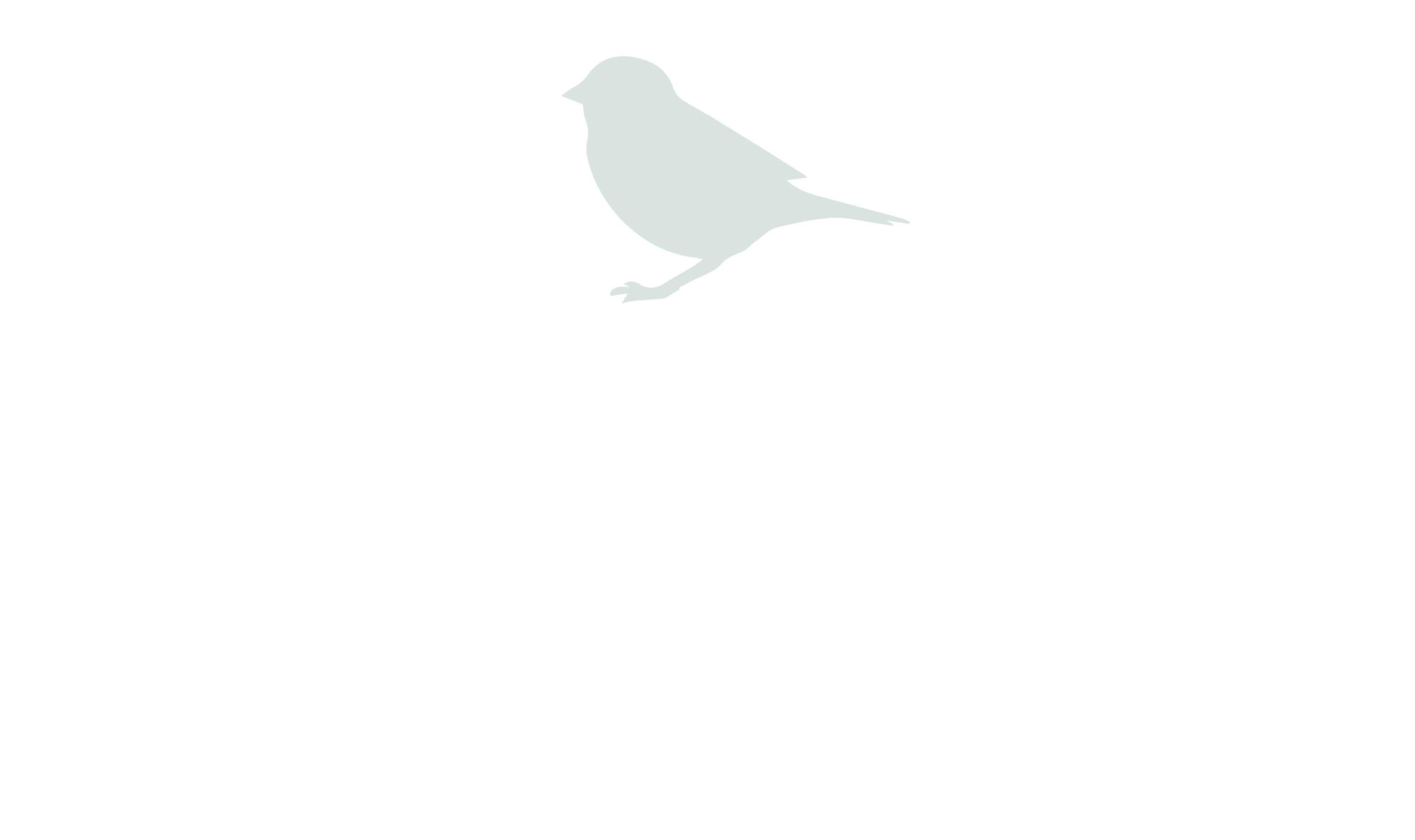 Nest-website-2022-03
